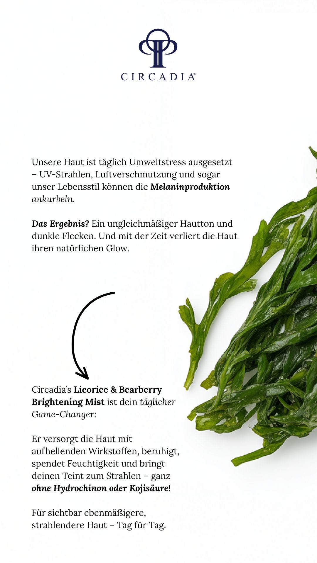 Circadia Licorice & Bearberry Brightening Mist