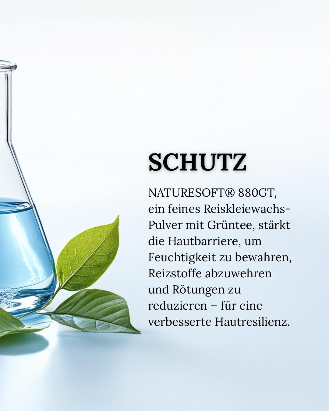 CIRCADIA Circa Shield