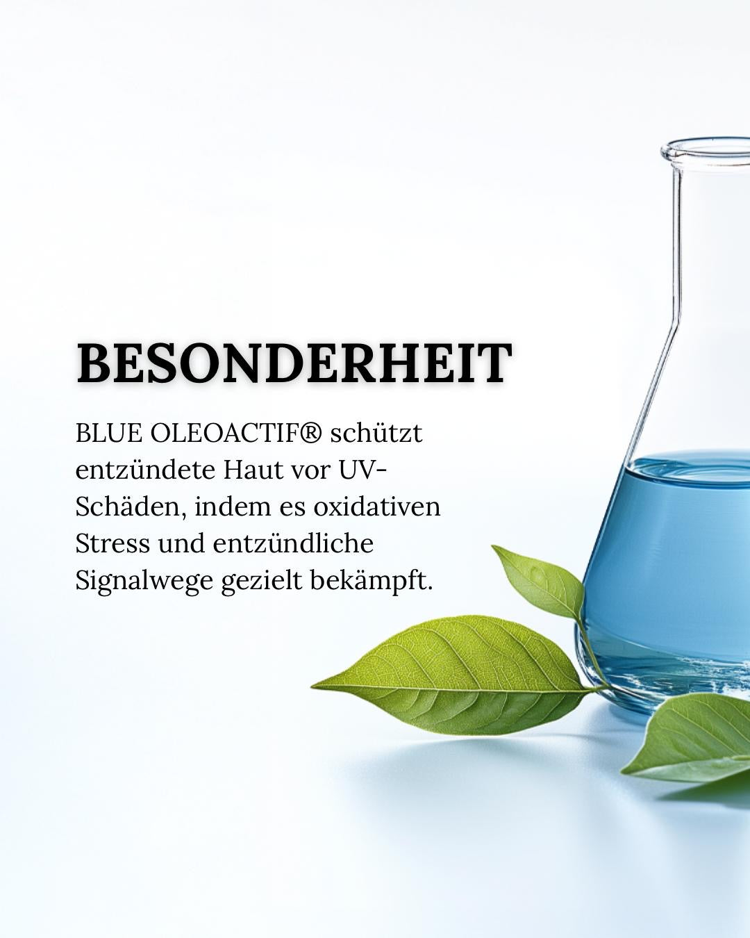 CIRCADIA Circa Shield