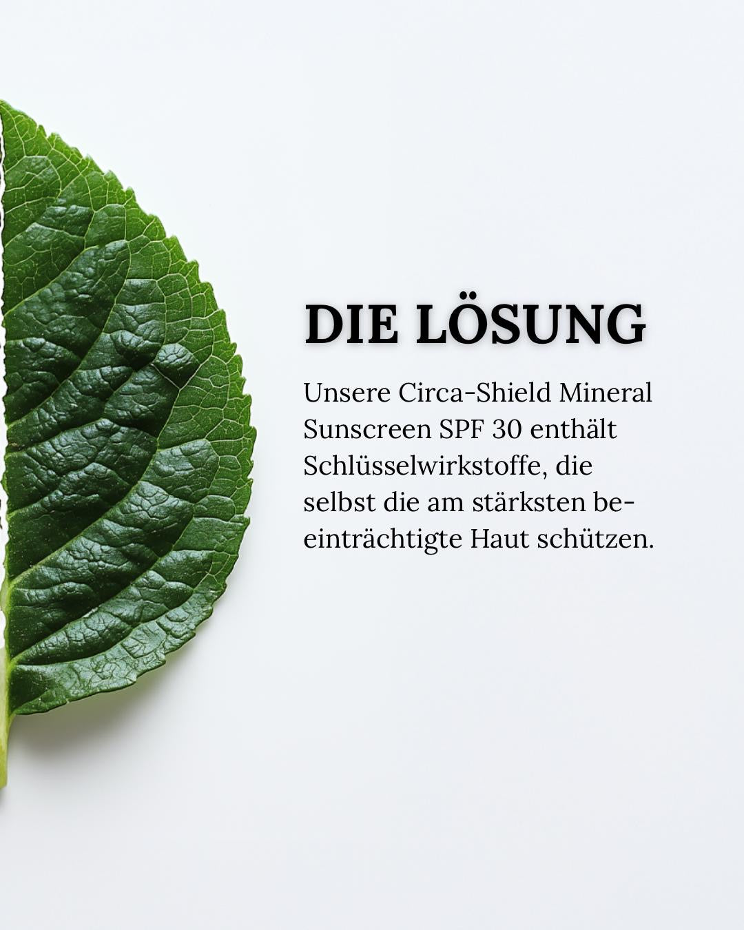 CIRCADIA Circa Shield