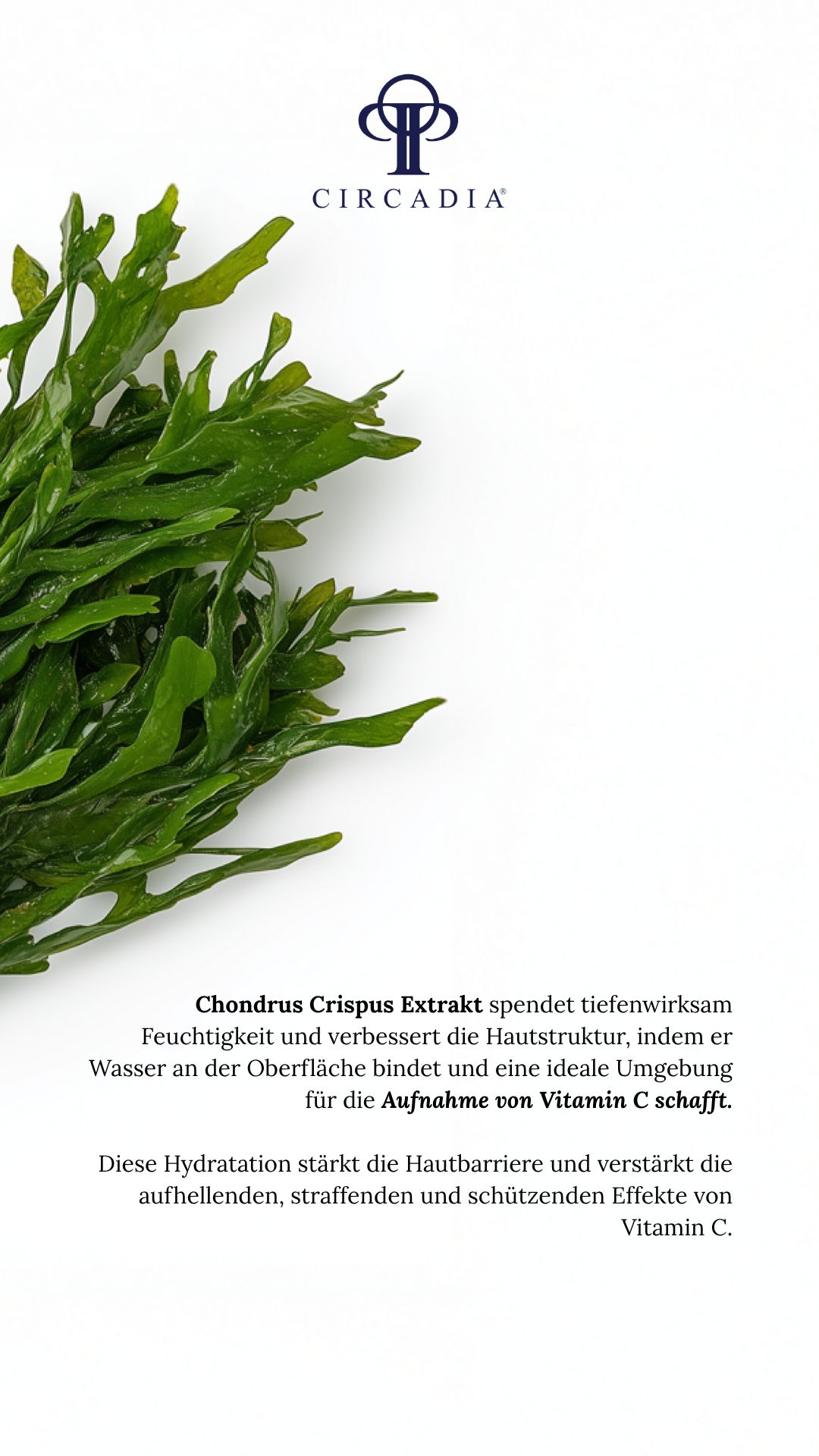 Circadia Licorice & Bearberry Brightening Mist